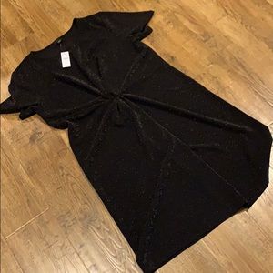 NWT Ann Taylor Shimmer Dress